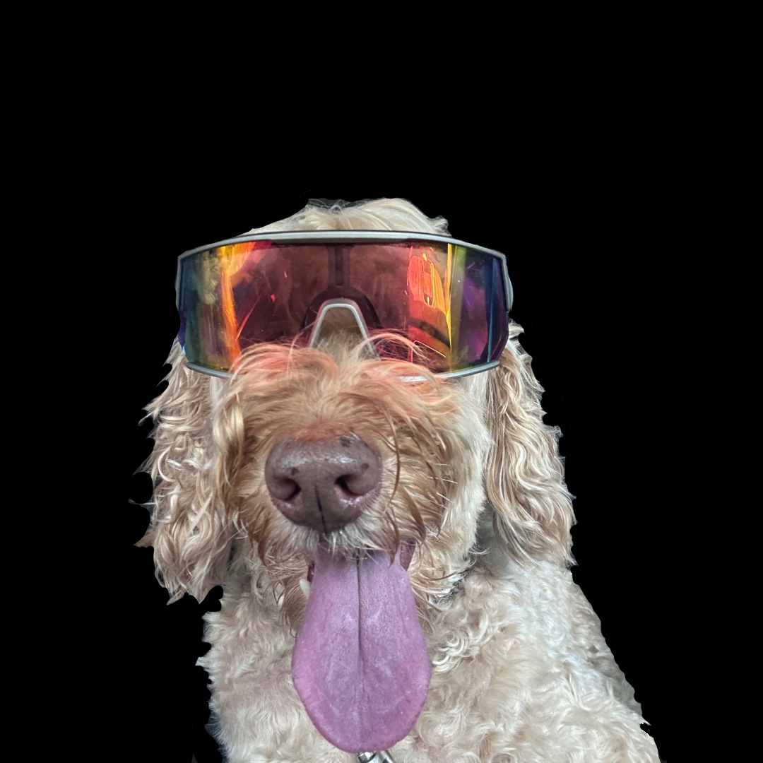 Minecraft scene placeholder